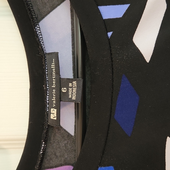 Valerir Bertinelli Colorblock Side Ruching Dress 👗 - Picture 4 of 4